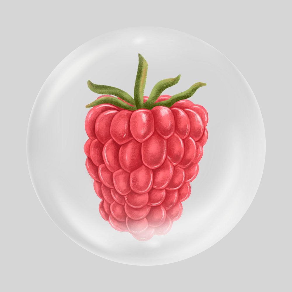 Raspberry bubble element, fruit clipart