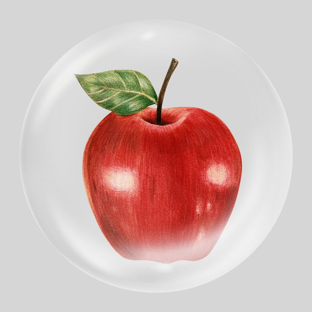 Apple illustration bubble element, fruit clipart