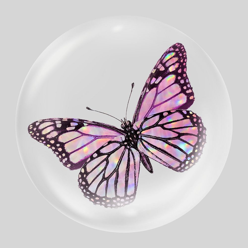 Holographic butterfly bubble, insect clipart