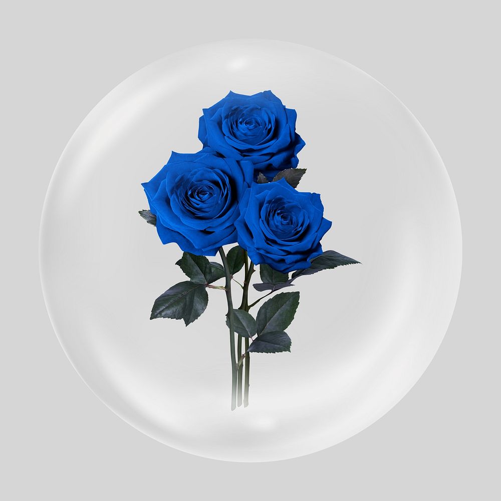 Blue roses clear bubble element design