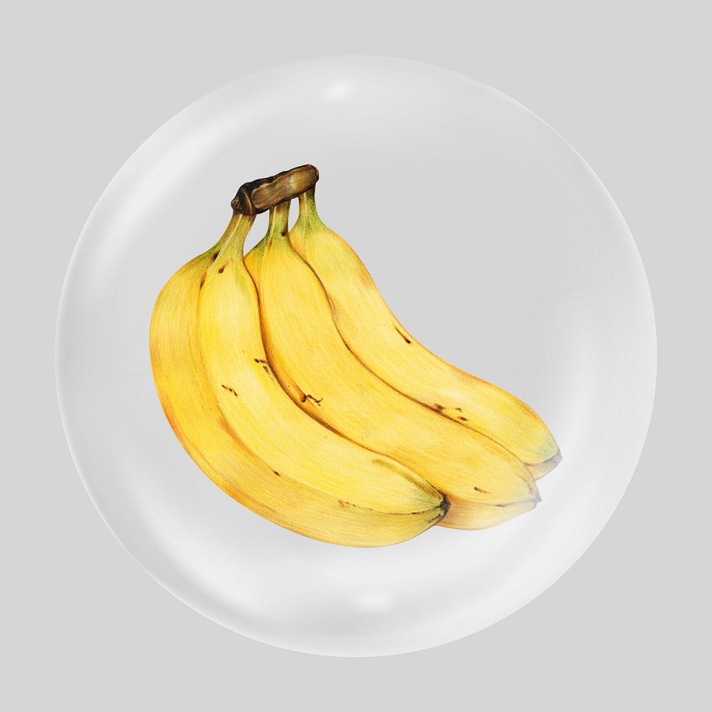 Banana illustration clear bubble element design