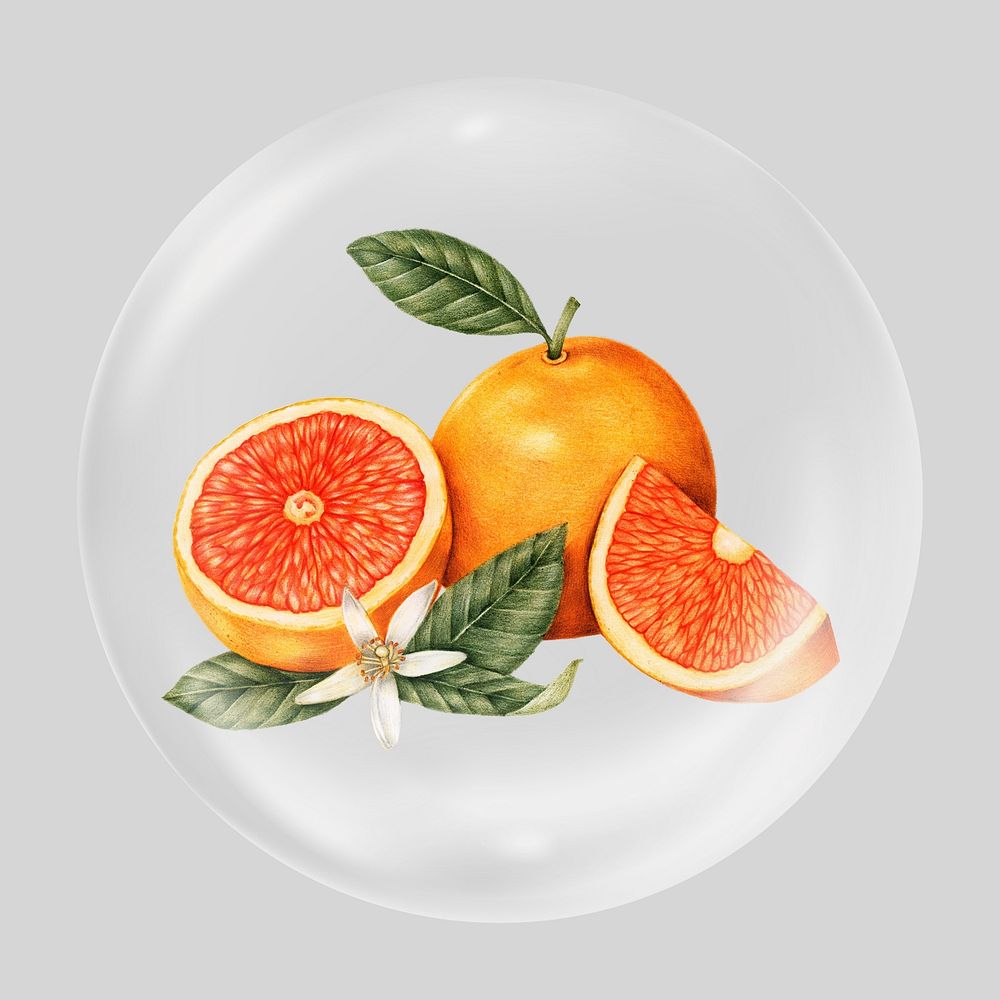 Blood orange illustration clear bubble element design