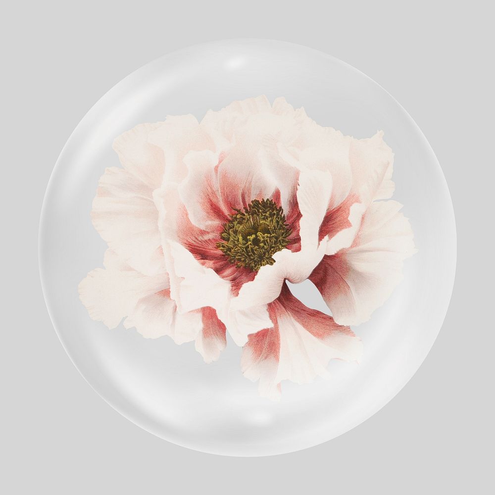 Pink flower illustration clear bubble element design