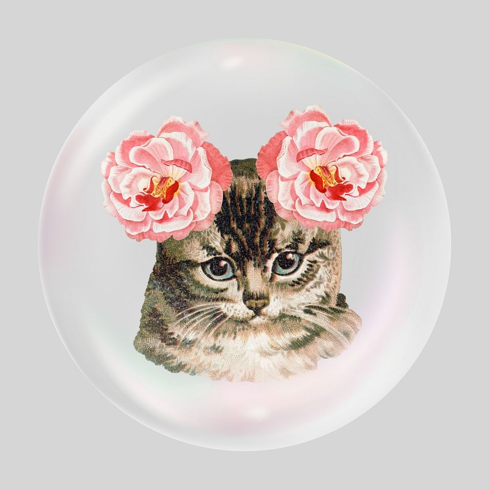 Floral cat bubble effect collage element