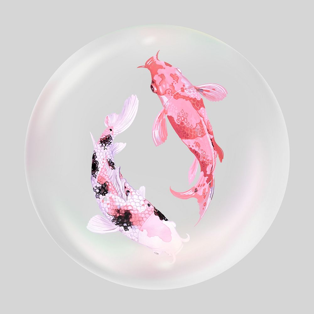 Koi fishes bubble effect collage element