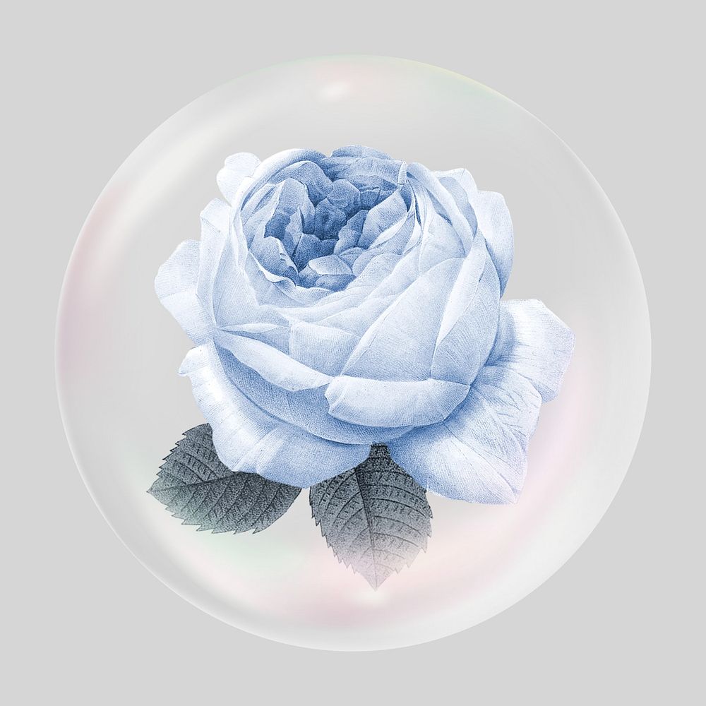Blue rose bubble effect collage element