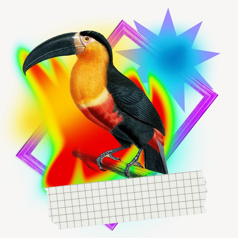 Toucan bird element, colorful gradient shape tape design