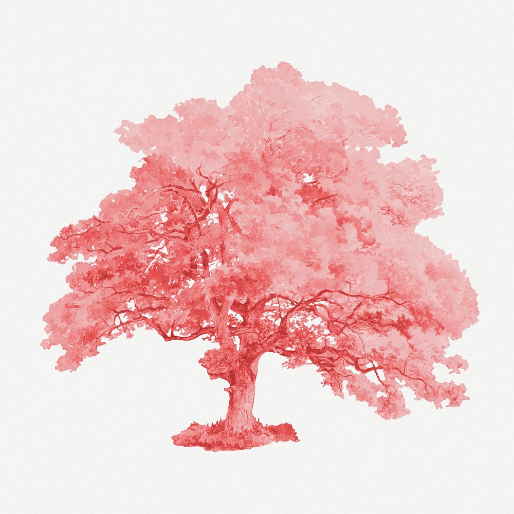 Pink big tree illustration psd