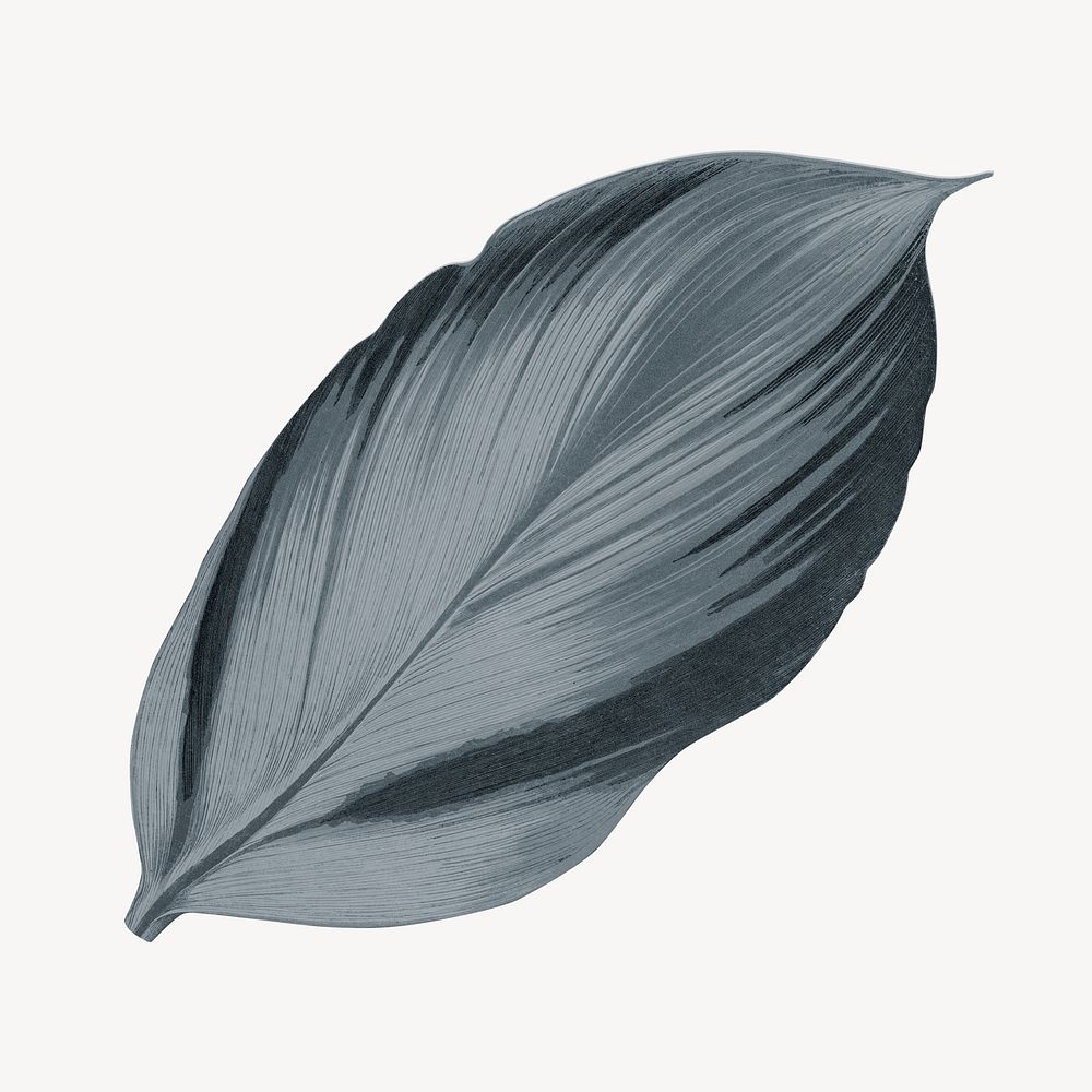 Vintage gray leaf illustration psd