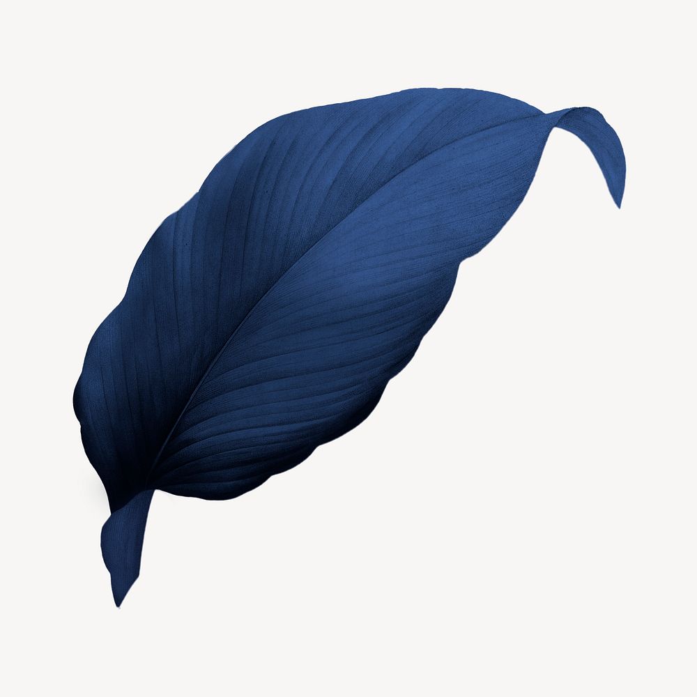 Vintage blue leaf illustration psd