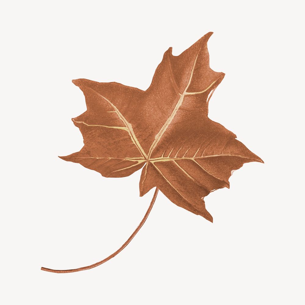 Vintage Autumn maple leaf illustration psd