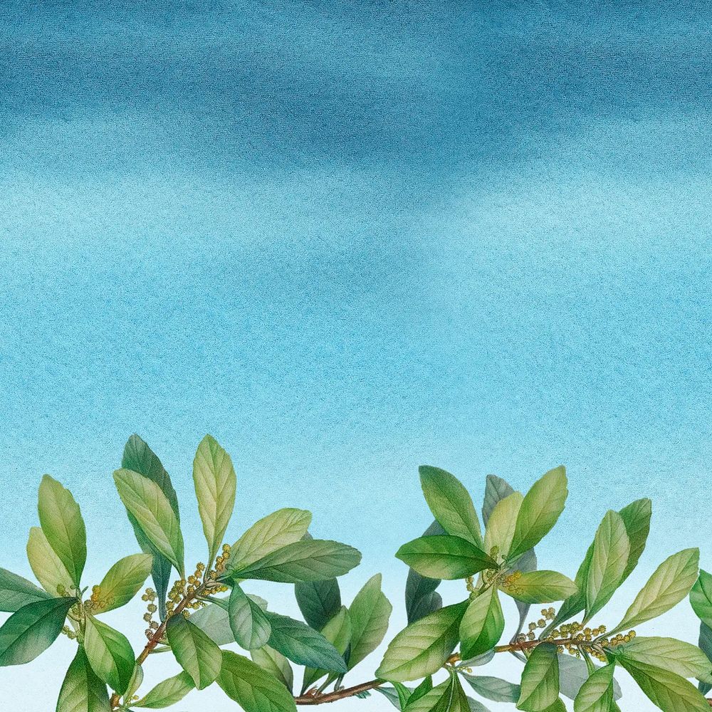 Leaf border blue watercolor background