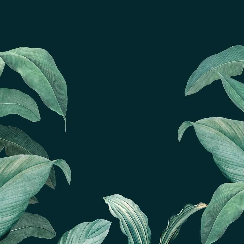 Tropical dark green background, leaf border design