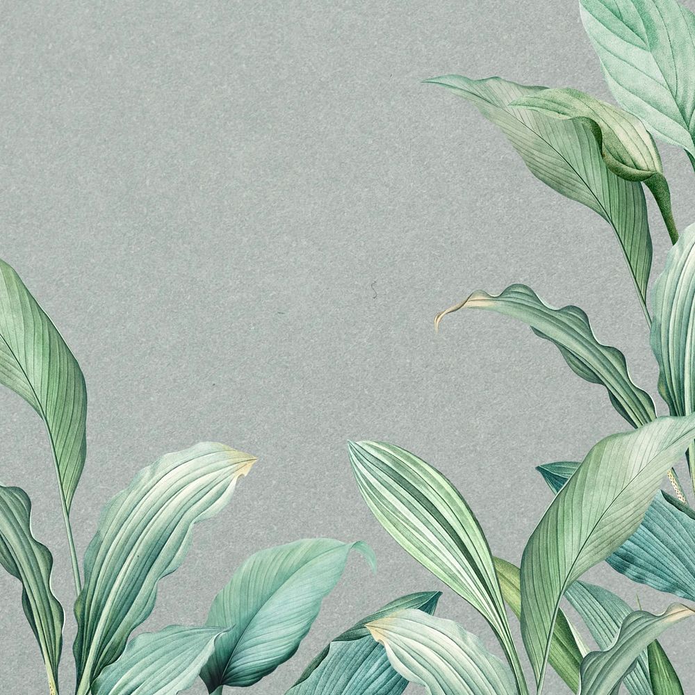 Leaf border gray textured background