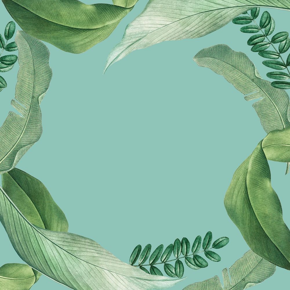 Tropical leaf frame green background