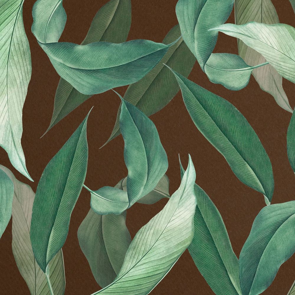 Tropical leaf, brown background