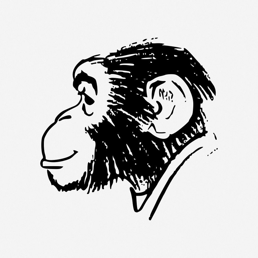 Chimpanzee clip art isolated design. Free public domain CC0 image.