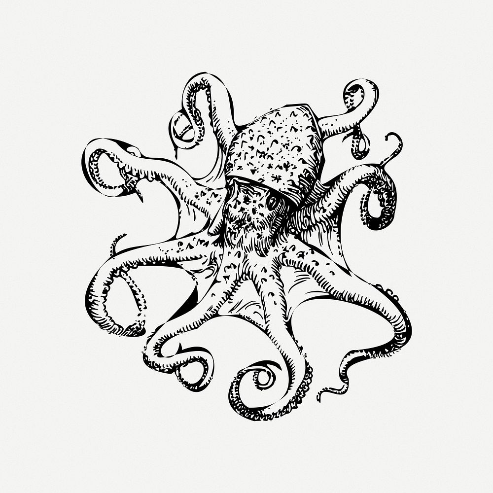 Octopus clip art psd. Free public domain CC0 image.