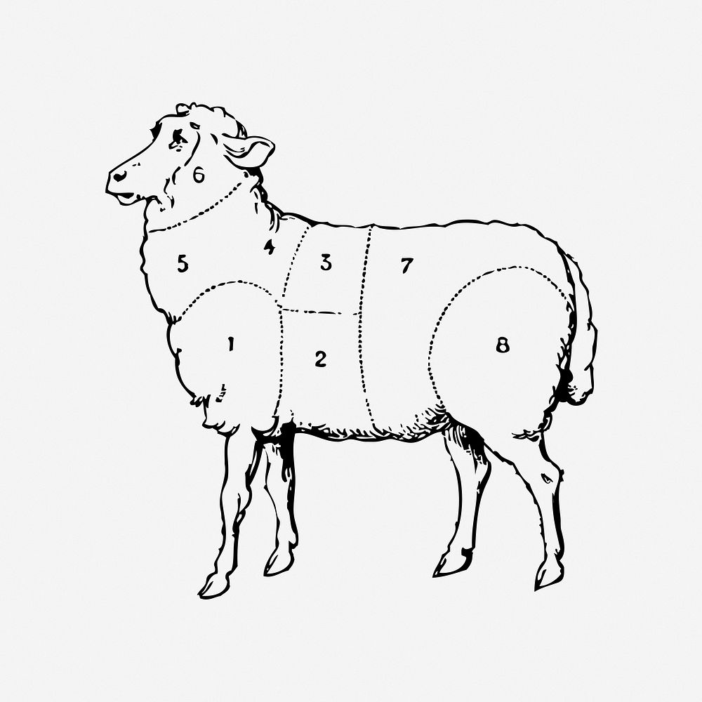 Lamb cuts chart clipart vector. Free public domain CC0 image.