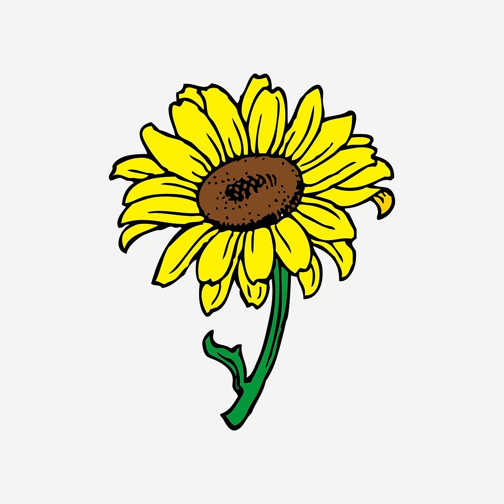 Sunflower illustration psd. Free public domain CC0 image.