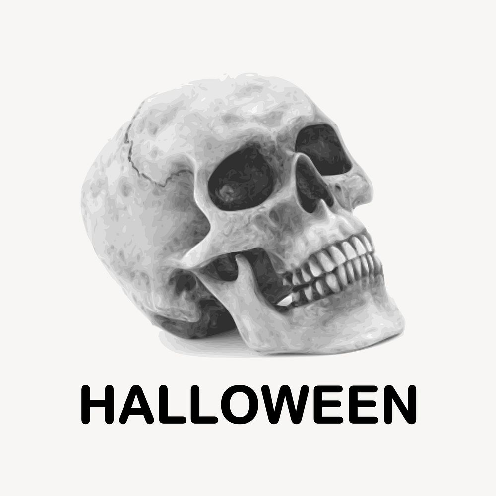 Human skull Halloween illustration. Free public domain CC0 image.