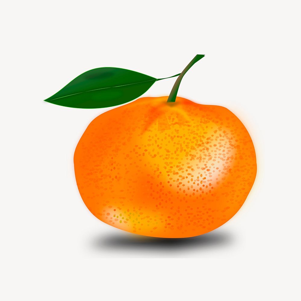 Orange illustration. Free public domain CC0 image.