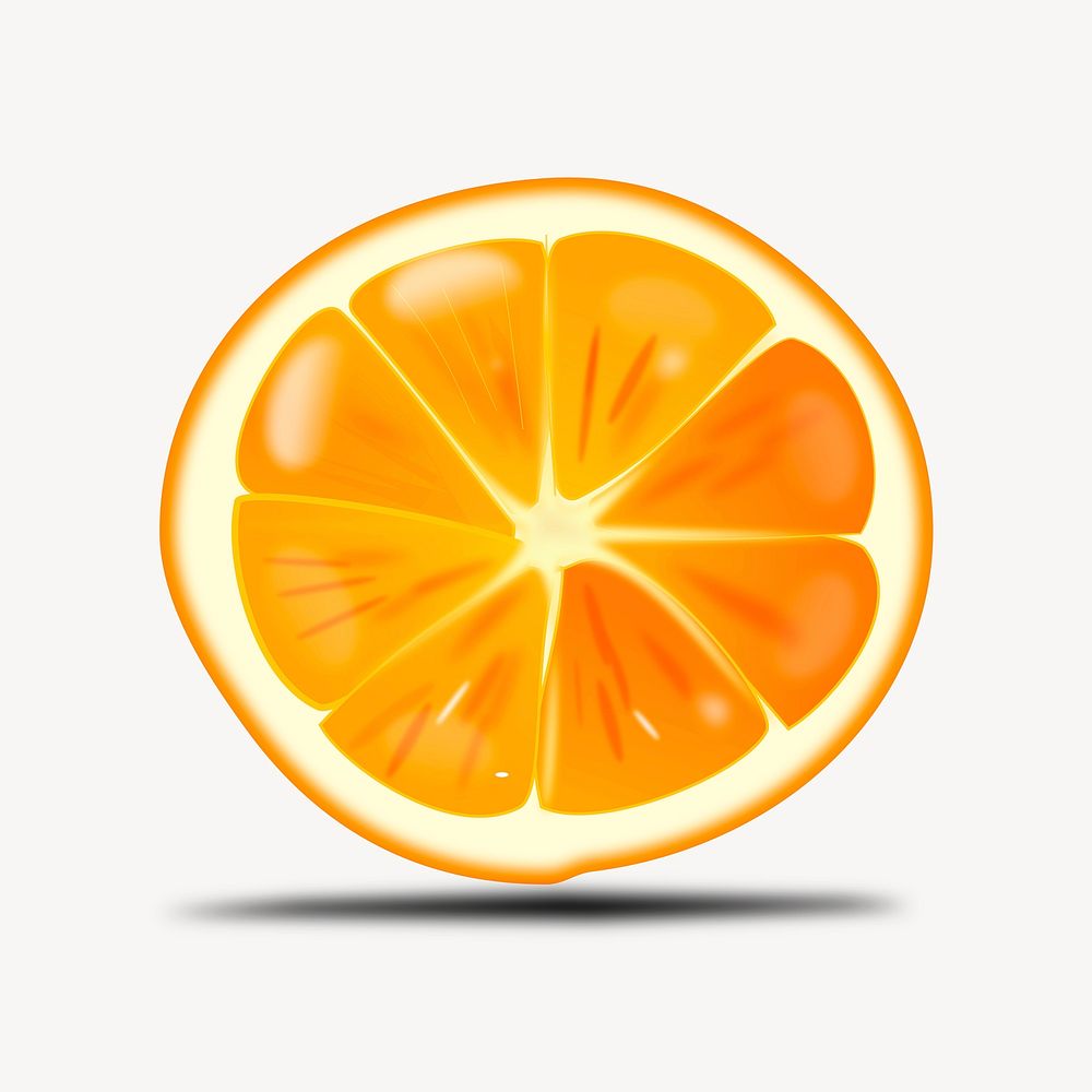 Half orange illustration vector. Free public domain CC0 image.