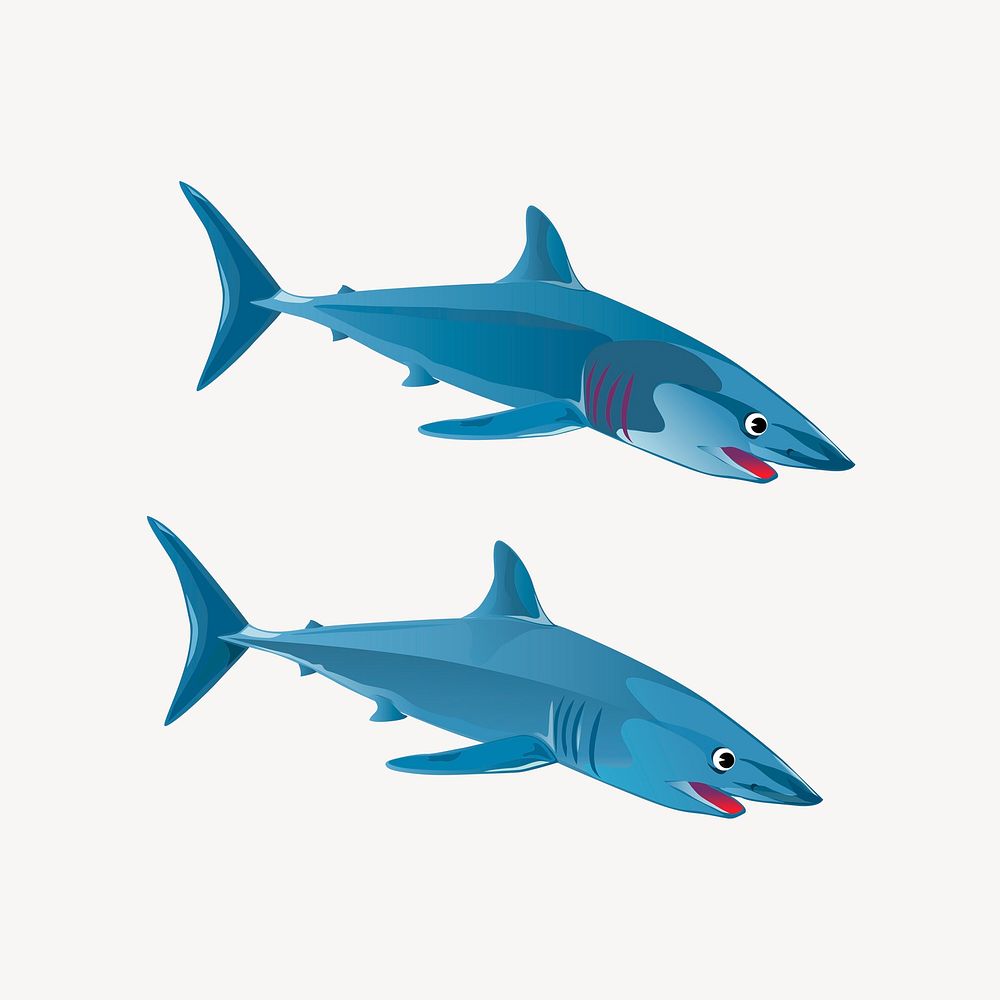 Sharks illustration. Free public domain CC0 image.