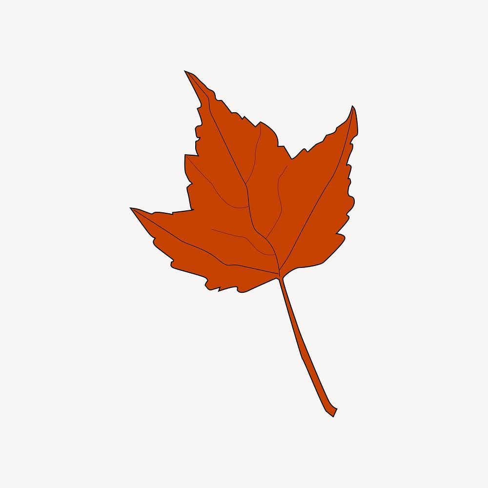 Autumn maple leaf clipart vector. Free public domain CC0 image.