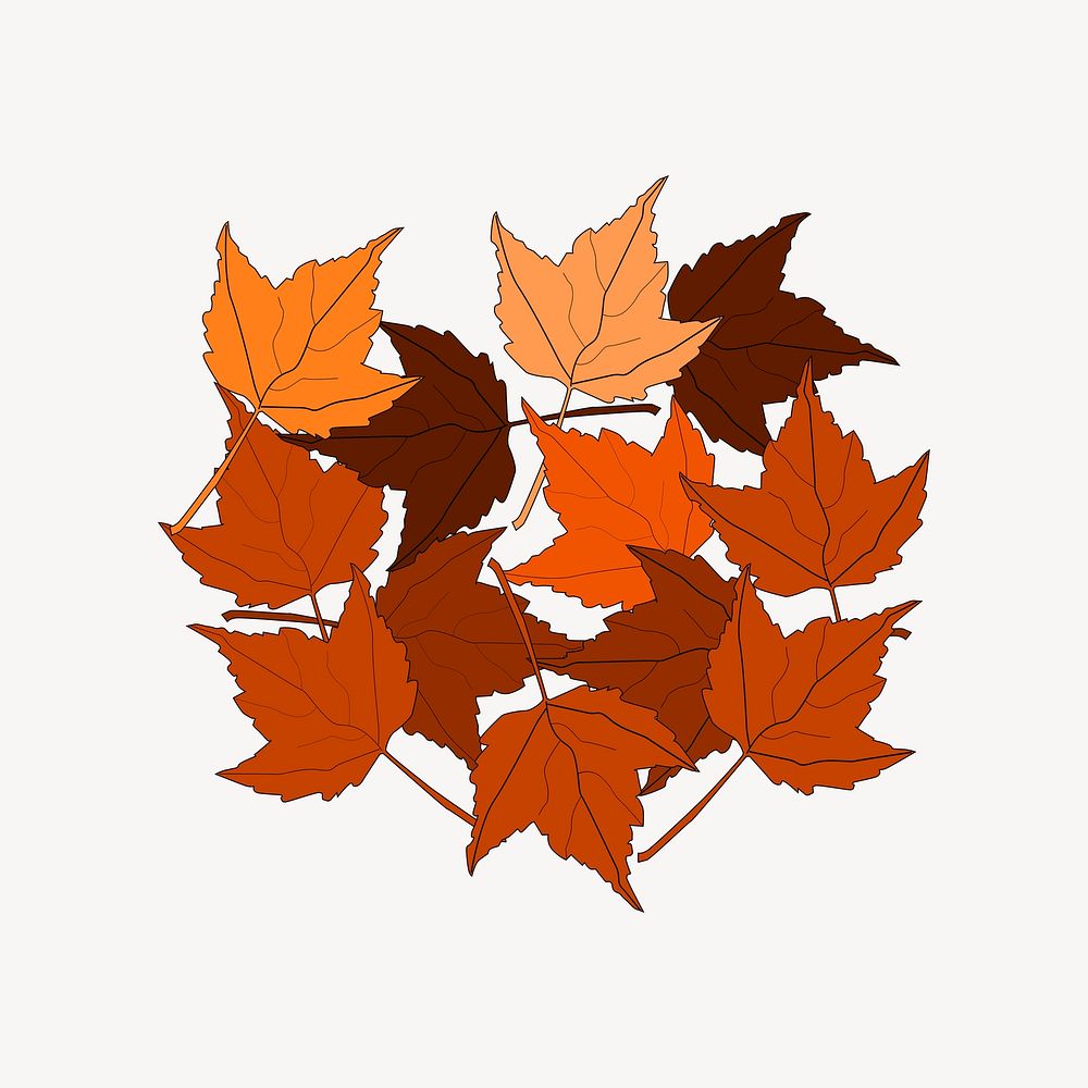 Autumn maple leaves illustration psd. Free public domain CC0 image.