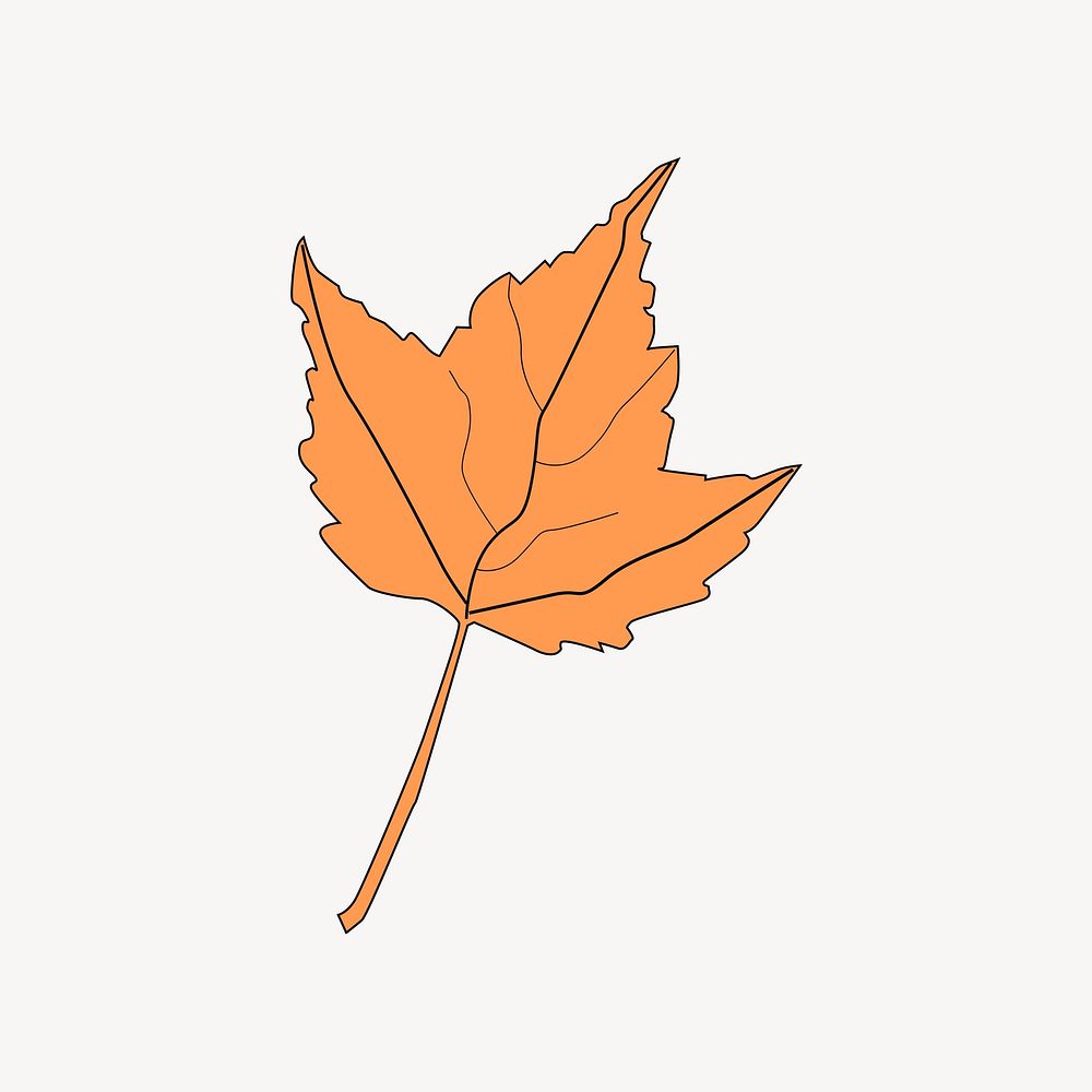 Autumn maple leaf illustration. Free public domain CC0 image.