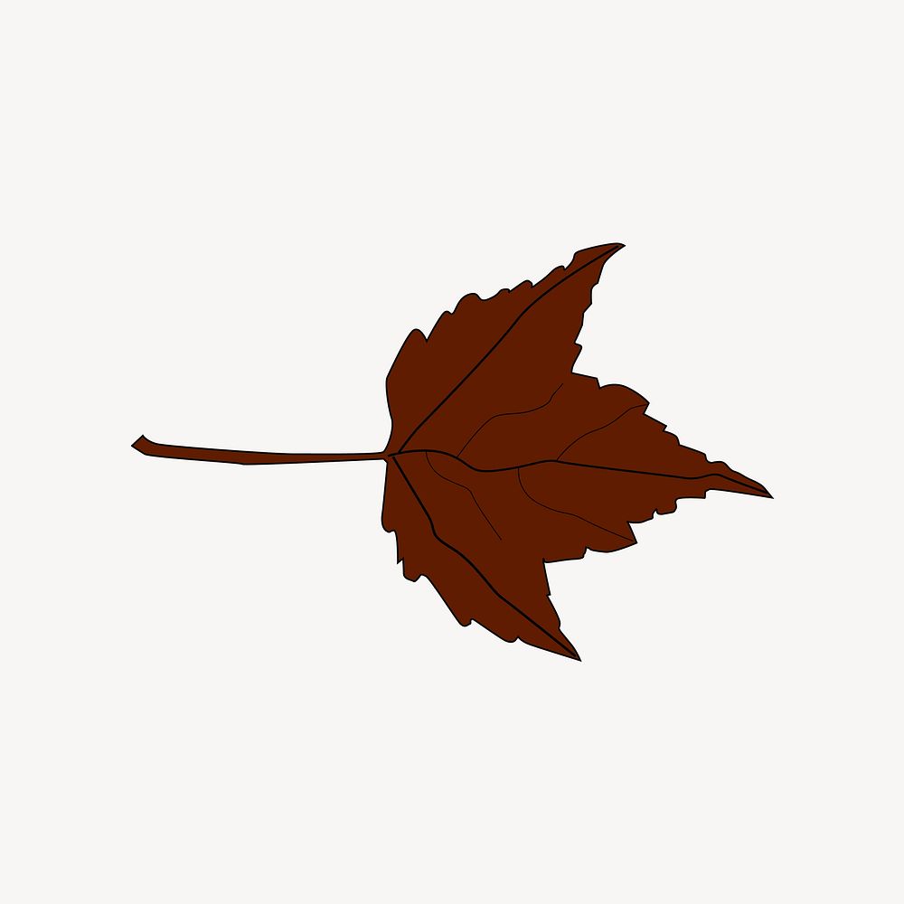 Autumn maple leaf illustration. Free public domain CC0 image.