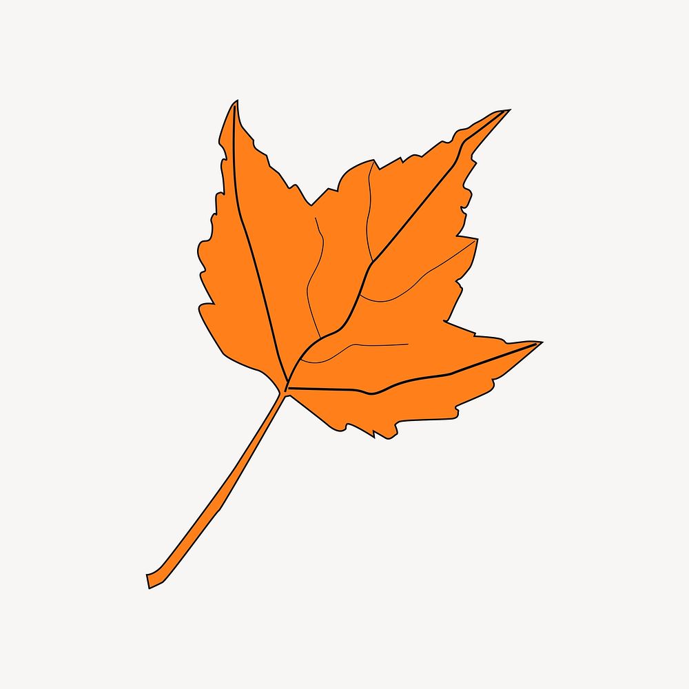 Autumn maple leaf illustration vector. Free public domain CC0 image.