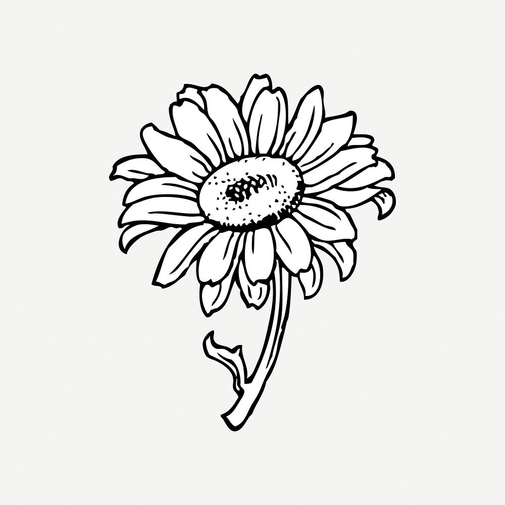 Coloring Spring Flower Illustration White Daisy Flower, Spring, Flower,  Floral PNG Transparent Image and Clipart for Free Download