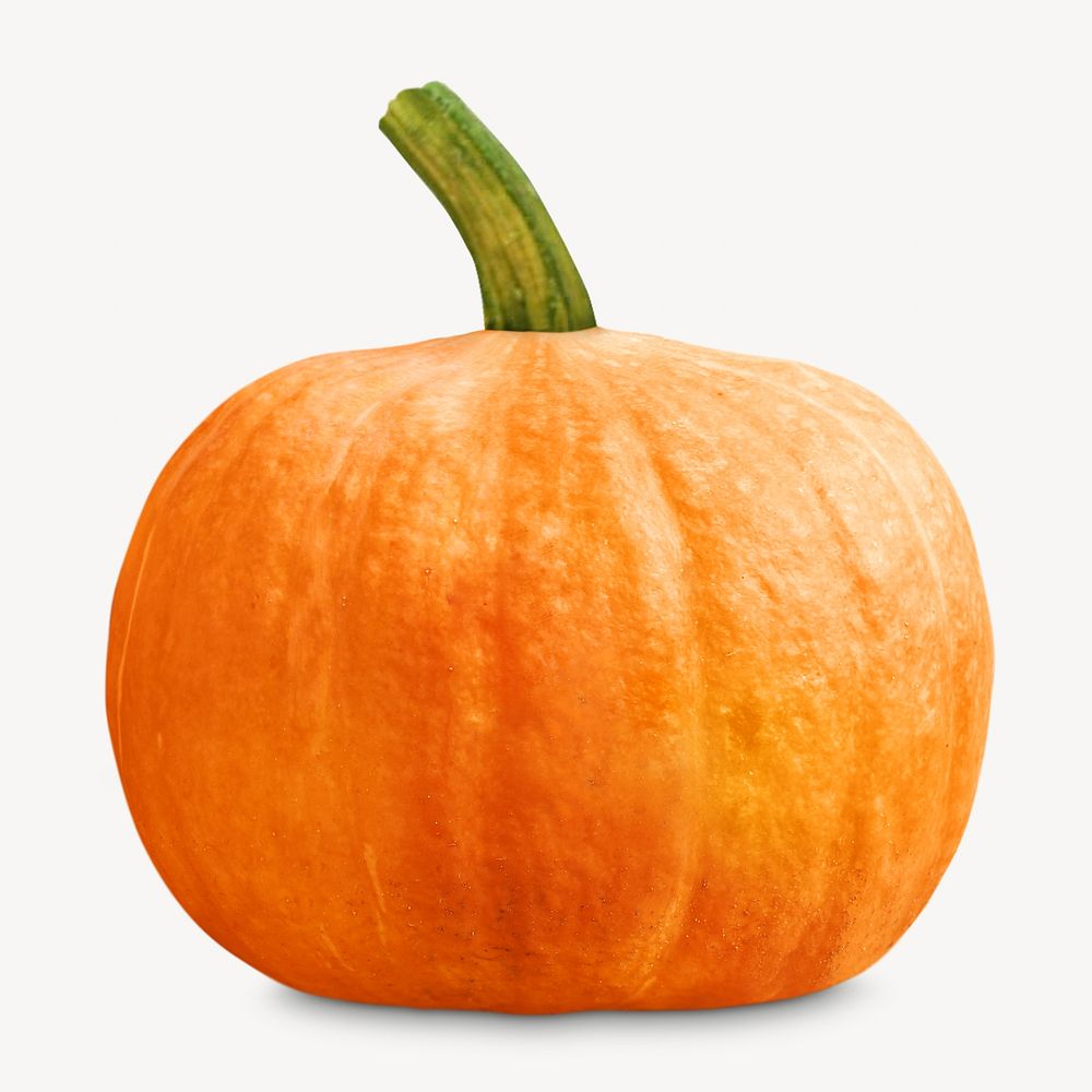 Farm orange pumpkin isolated object