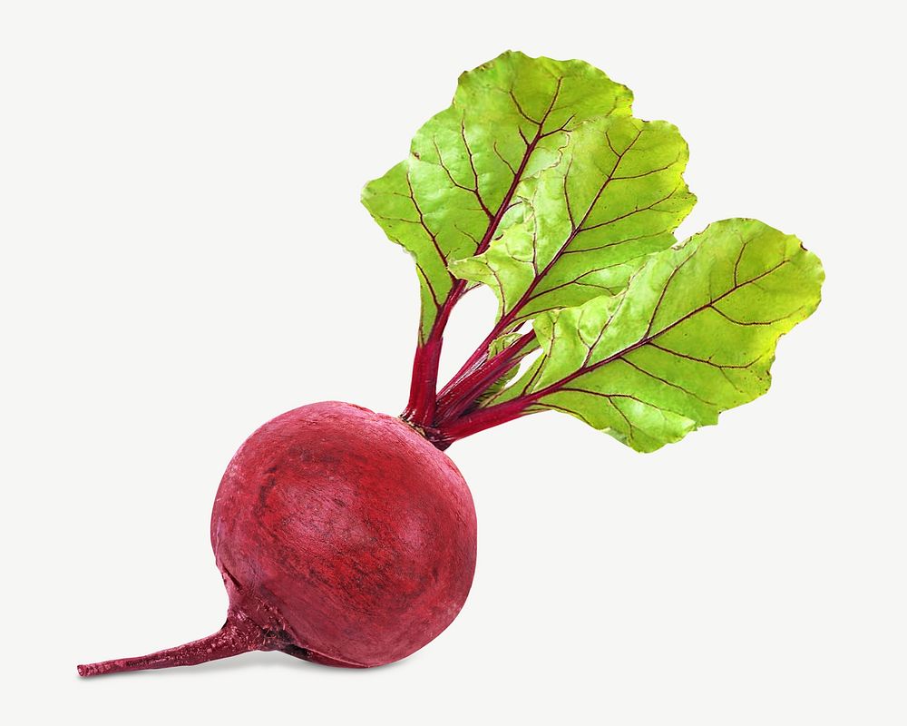 Red beetroot organic vegetable psd