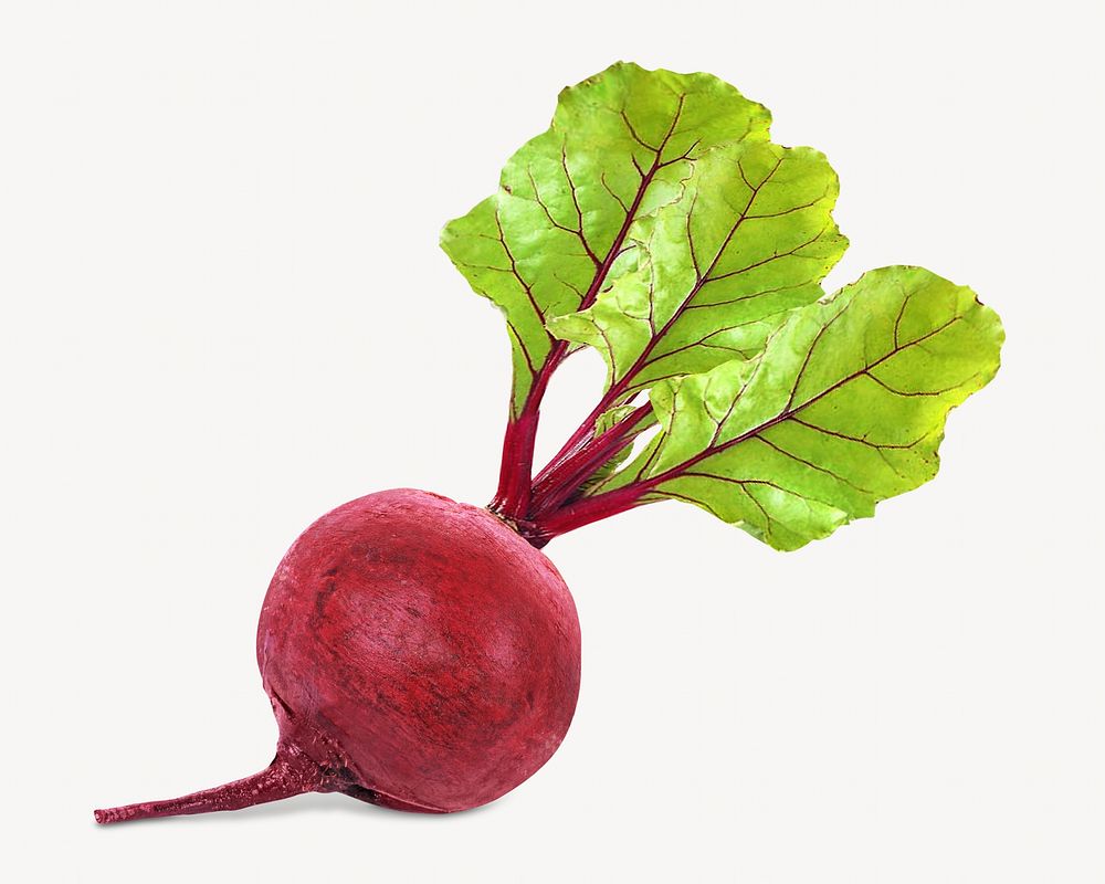 Red beetroot vegetable isolated object