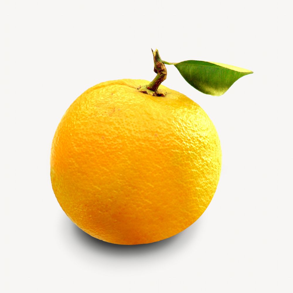 Citrus fruit image on white