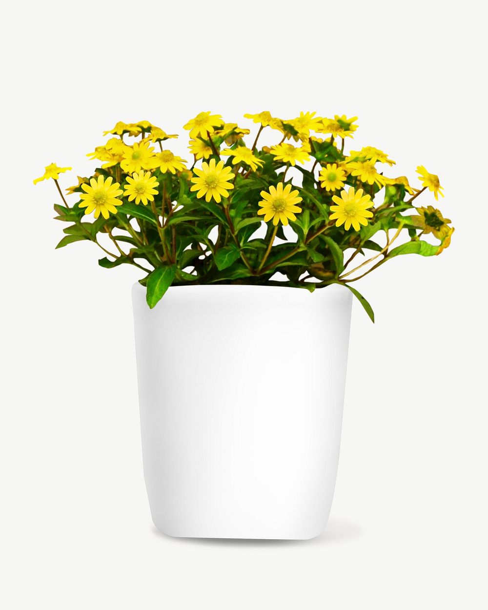 Potted yellow flower collage element graphic psd