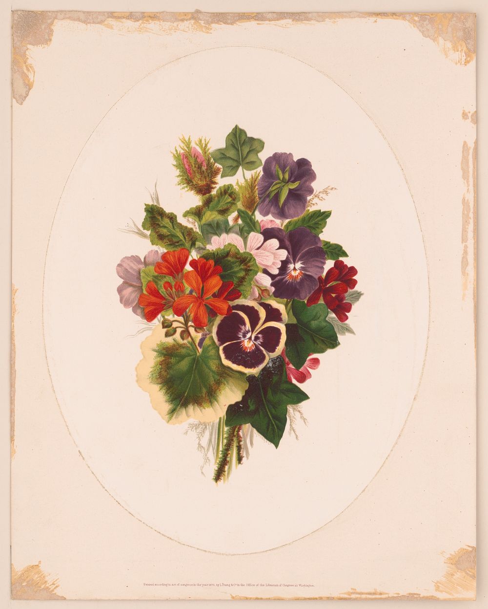 Bouquet of flowers (1873) by L. Prang & Co.