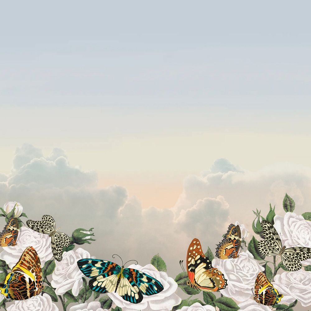 Aesthetic sky background, vintage butterfly border