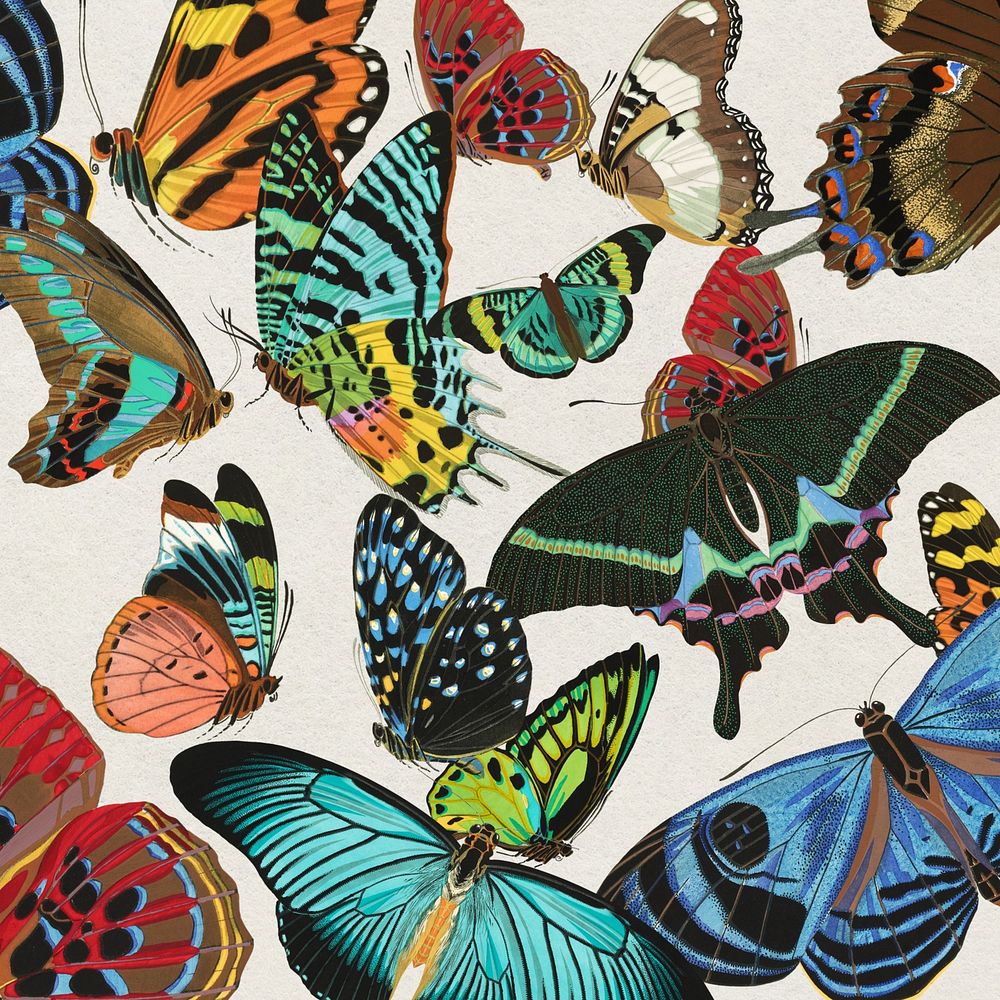 Exotic butterfly patterned background, E.A. S&eacute;guy's vintage illustration, remixed by rawpixel.