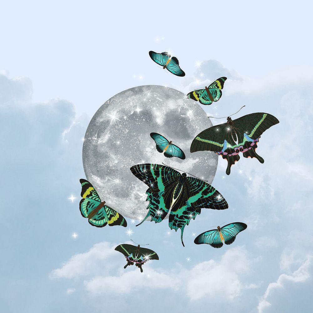 Full moon butterfly, aesthetic surreal remix