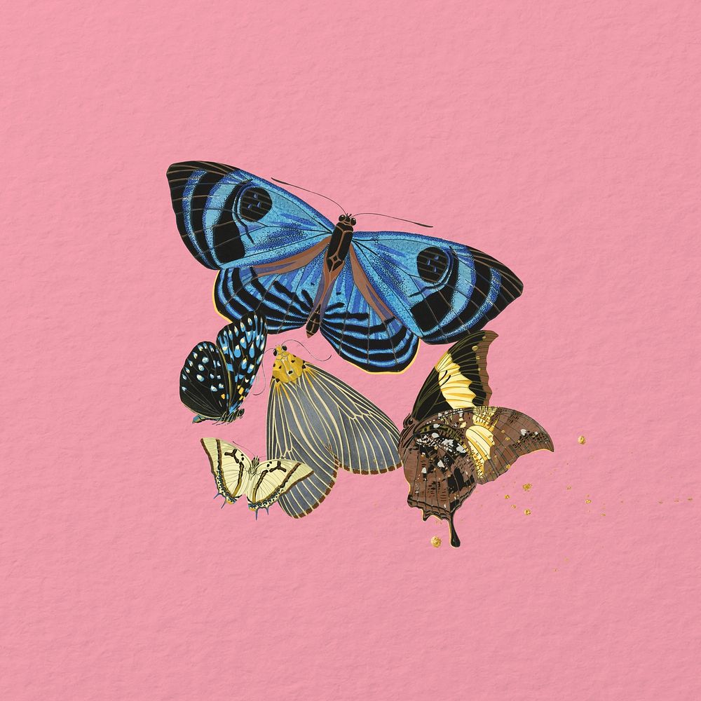 Vintage butterflies, aesthetic graphic