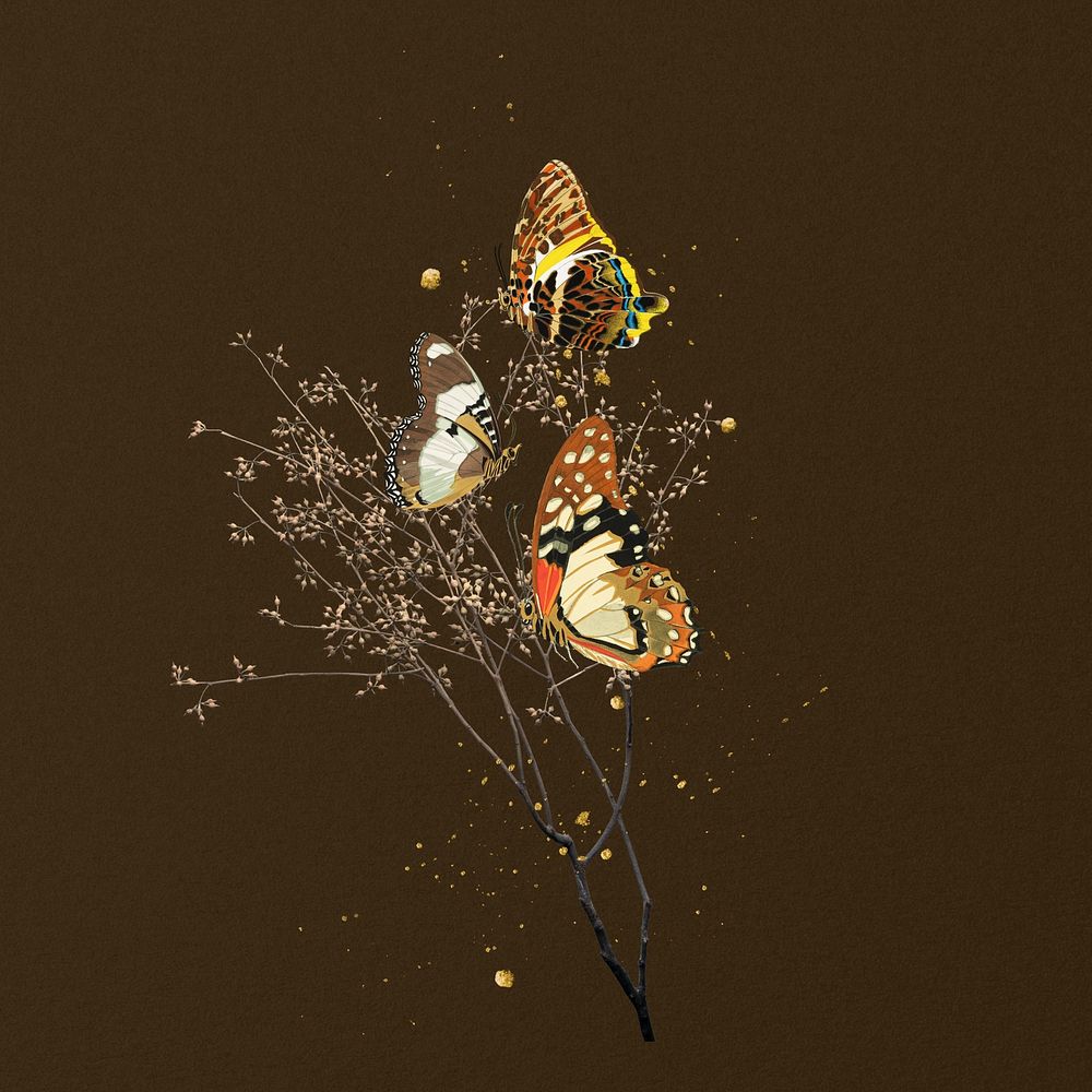 Autumn butterflies, aesthetic insect remix