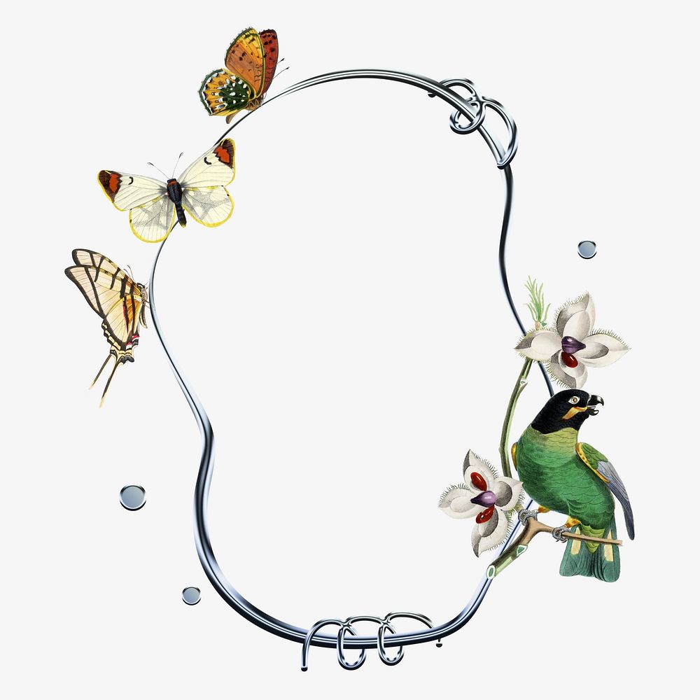 Butterflies & birds frame, white design