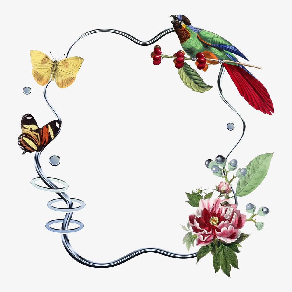 Butterflies & birds frame, botanical white design