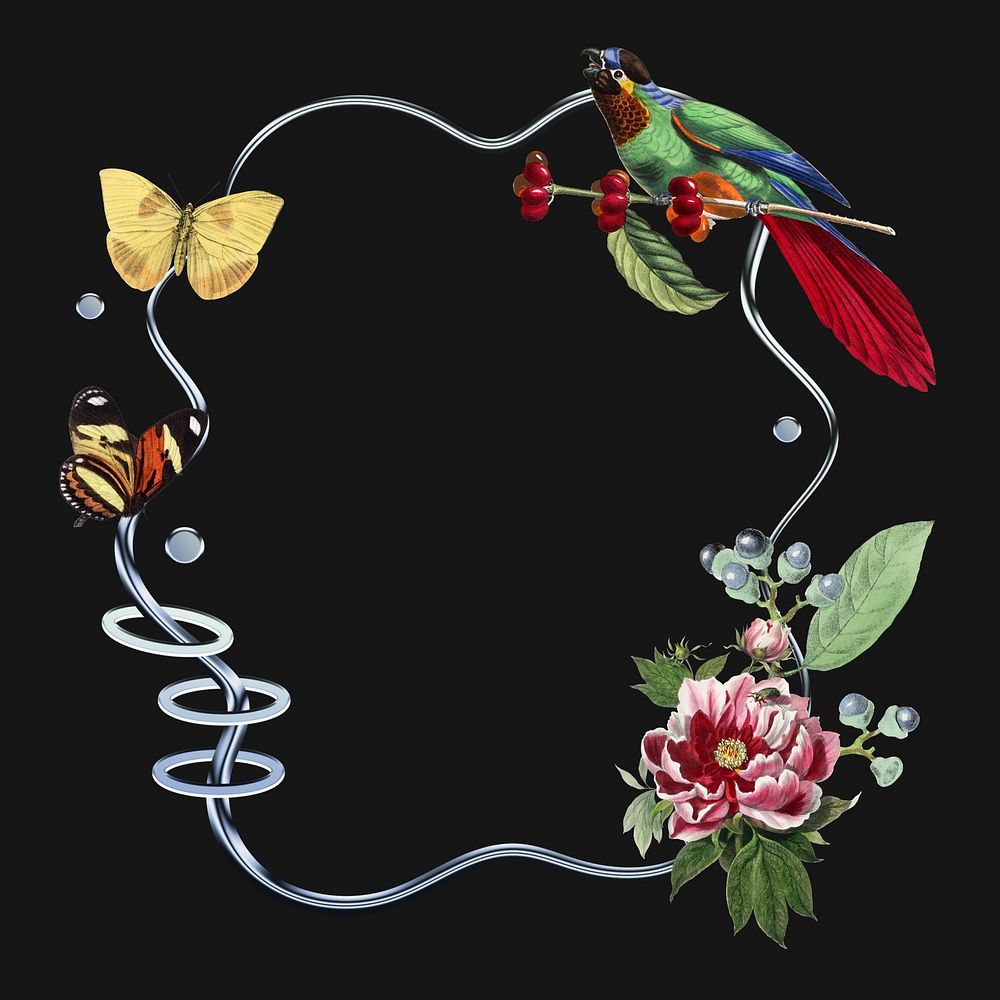 Butterflies & birds frame, botanical black design