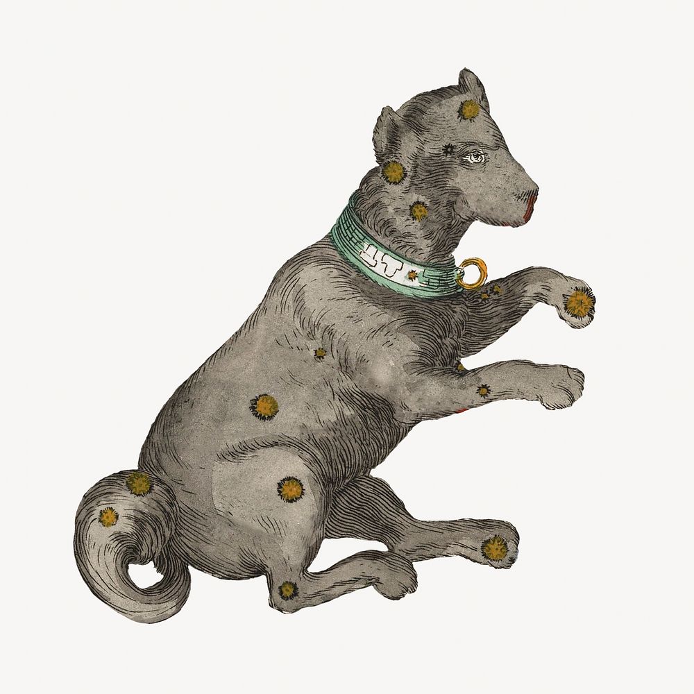 Canis Manor dog constellation, astrology animal illustration by Ignace Gaston Pardies. Remixed by rawpixel.
