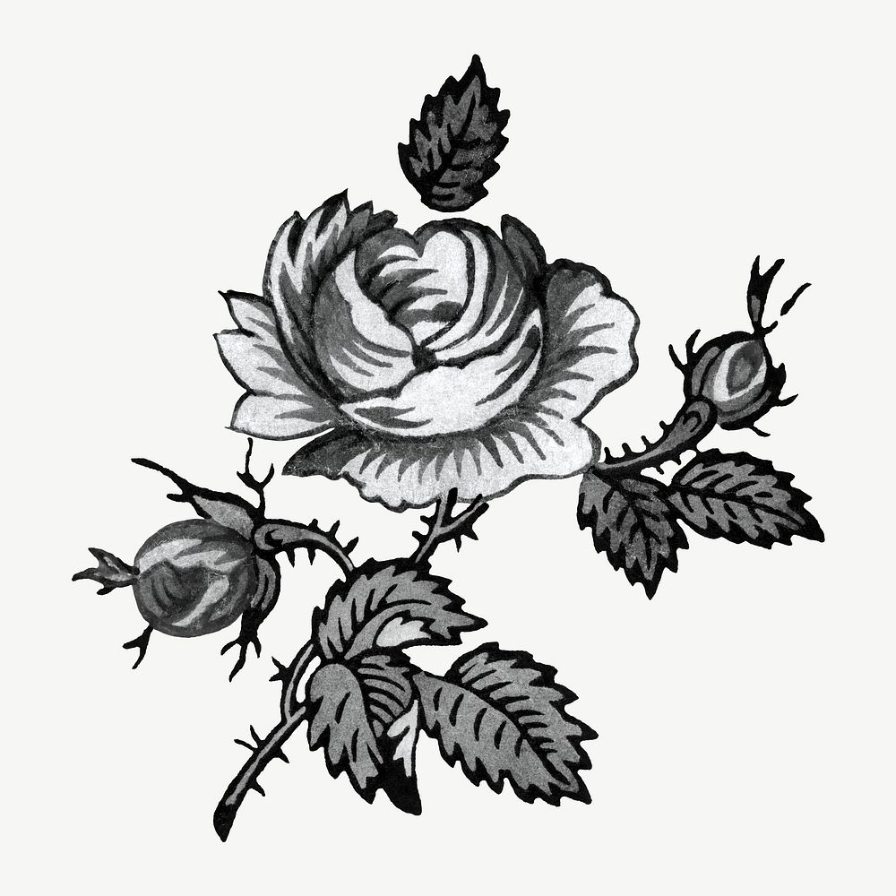 Rose flower black and white collage element psd. Remixed by rawpixel.
